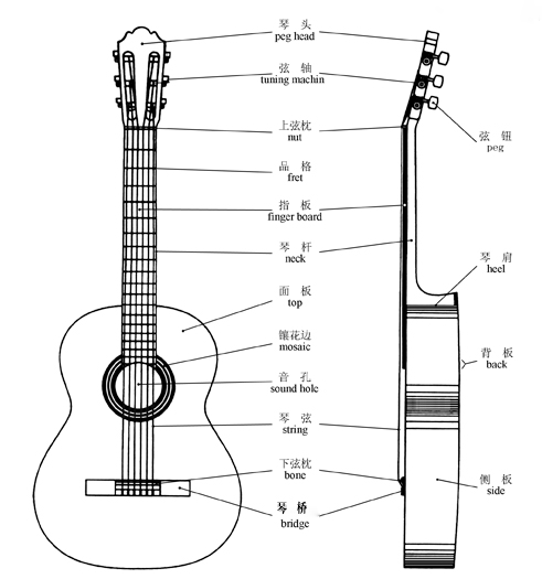 吉他构造图